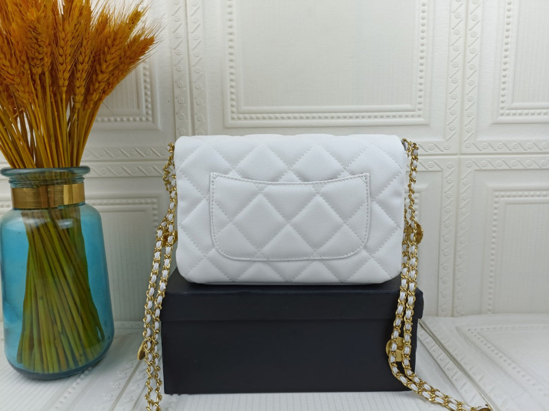 2 Colors Gold Coin Chain Bag