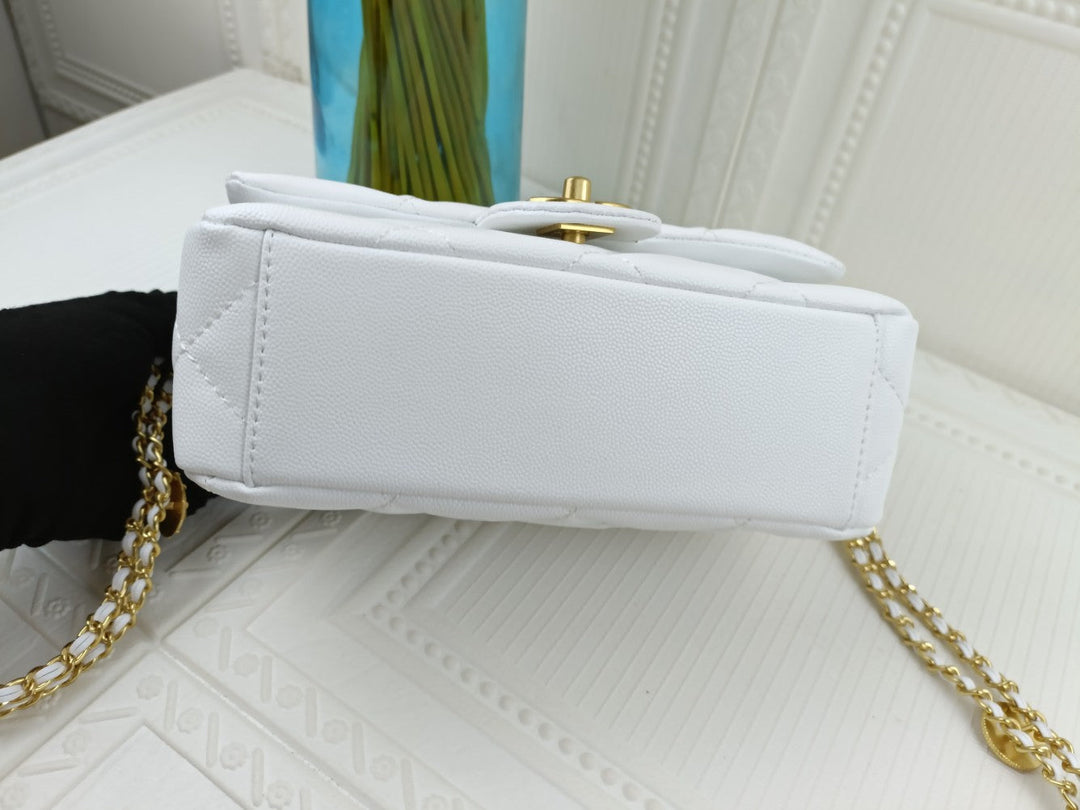 2 Colors Gold Coin Chain Bag