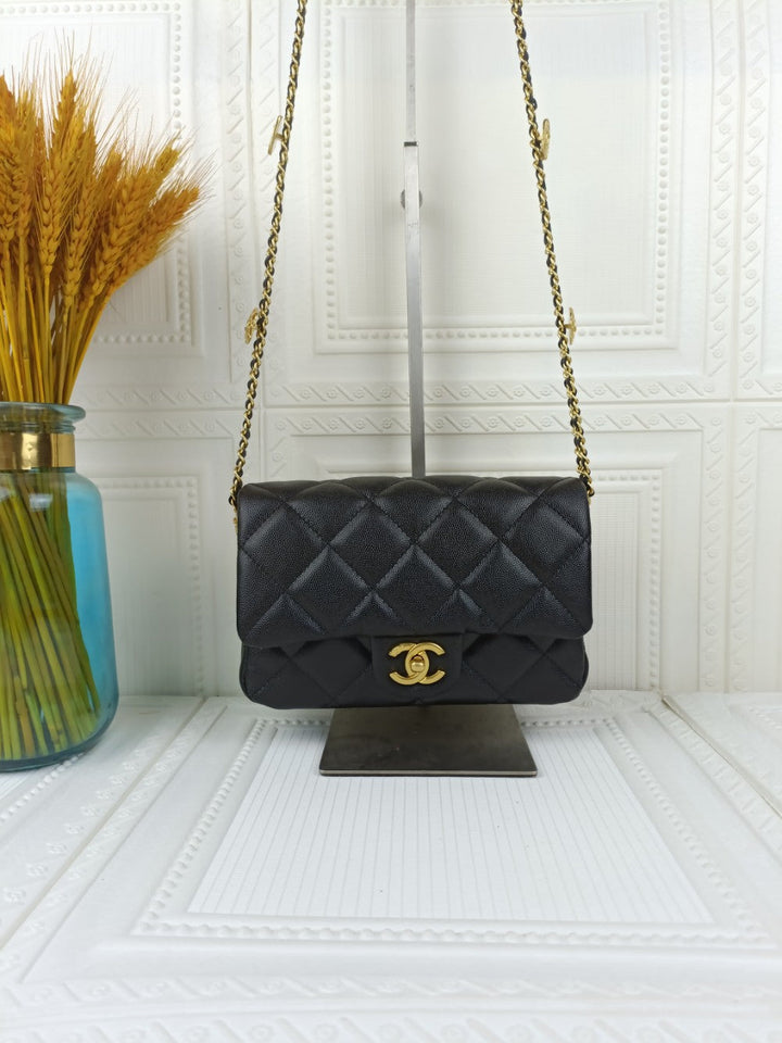 2 Colors Gold Coin Chain Bag