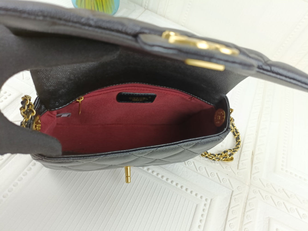 2 Colors Gold Coin Chain Bag