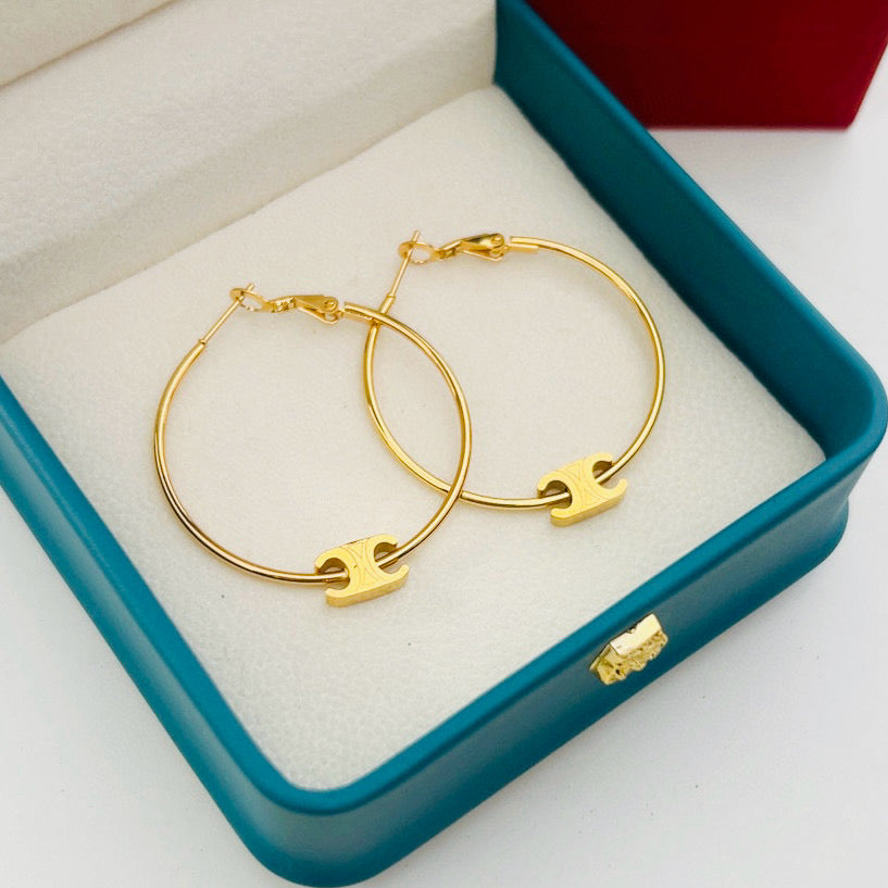 Delicate Titanium Earrings