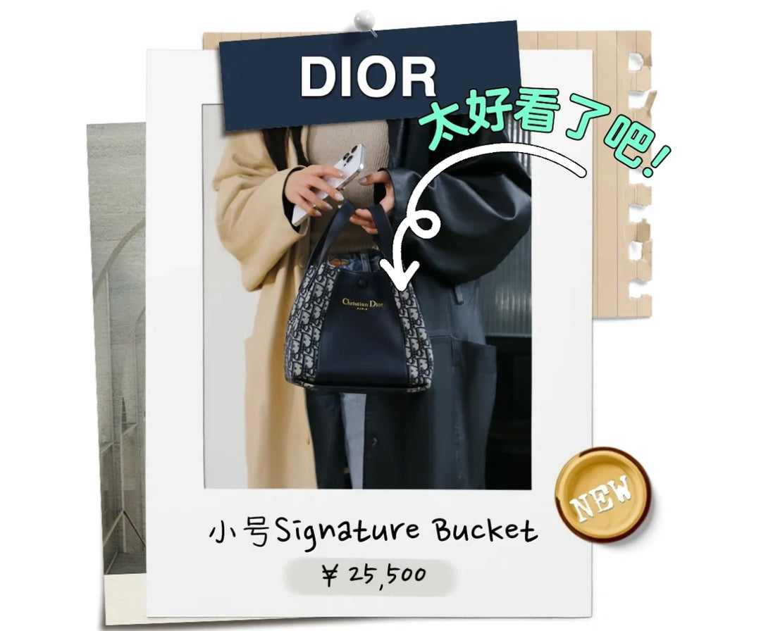 2025 New Blue Print Bucket Bag