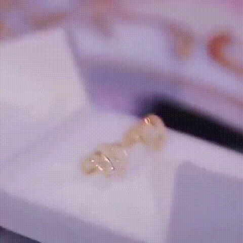 Claw Earrings