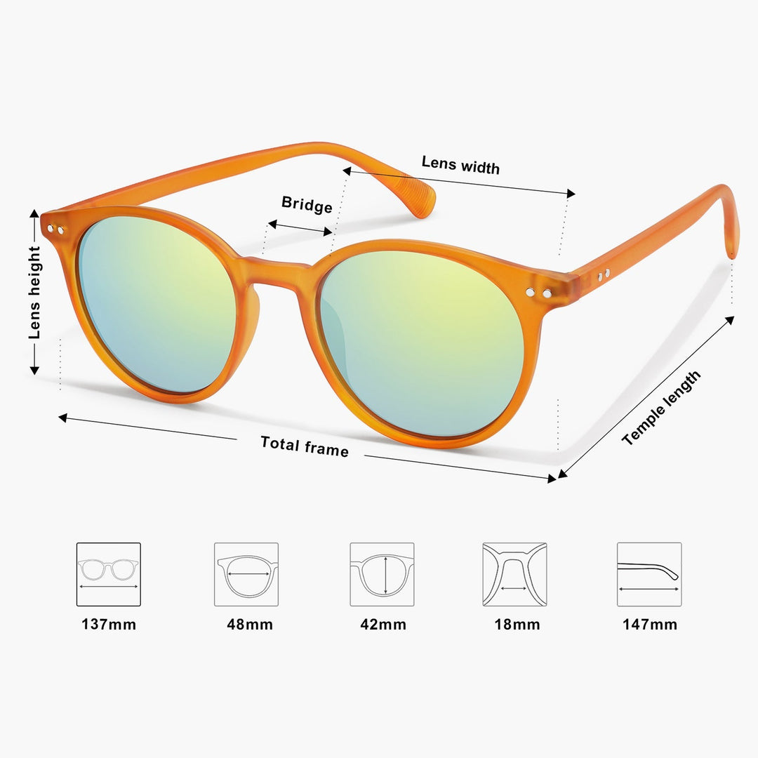 8-colour colour blocked temples sunglasses